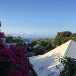 10e05f87-308b-4d0b-954f-0ca92e66be3d