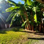 Villa Mille Sabords - Jardin