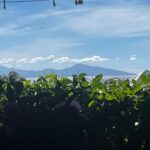 Villa Mille Sabords - Vue mer de la maison